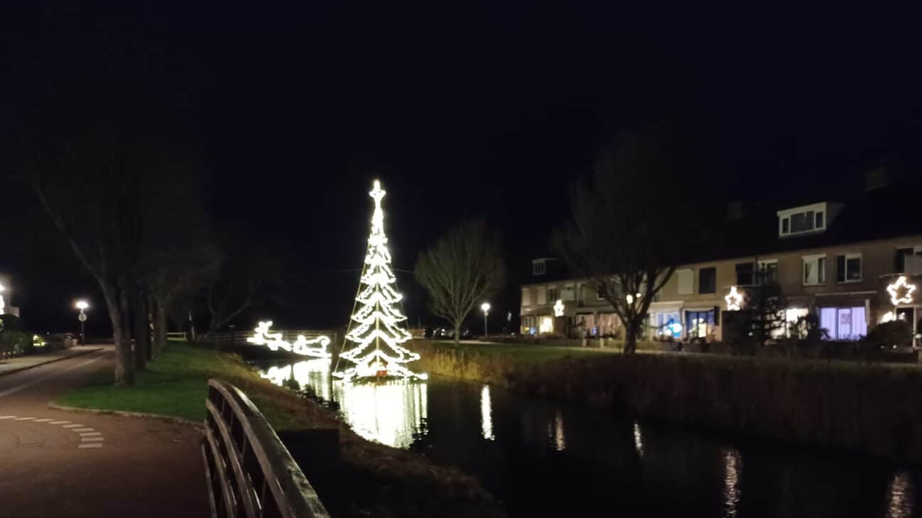 Kerstboom bij Juno en Pluto